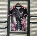 Maillot Japon 2024 Concept